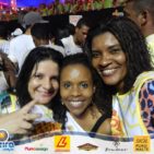 Bloco Skol Folia